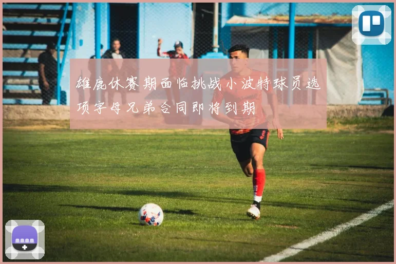 雄鹿休赛期面临挑战小波特球员选项字母兄弟合同即将到期
